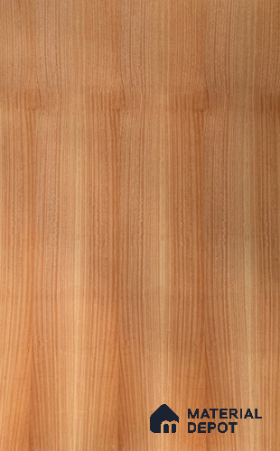VE 00011 Golden Maple 2440x1220 mm Silicon Natural Veneer - 3.7 mm