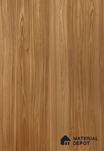 Red Elm 2440x1220 mm Silicon Natural Veneer - 3.7 mm
