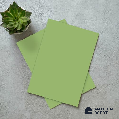LM 21063 D Wild Parrot Sliky Matte Finish 8 ft x 4 ft Decorative Laminate - 1 mm | Suitable for Living Room, Kitchen, Office