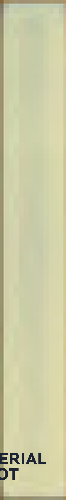 Subway Wall Tile TL 11739 E | 14 in x 2 in Vitrified Glossy Tile - 9 mm