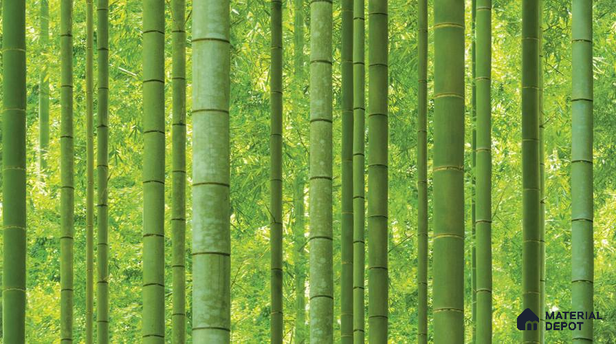 Sunshine bamboo_88423-1 | 5 Meter x 42 Inches Nature Look Wallpaper - 57.41 Sq. Ft. | Minimum 15% wastage during installation