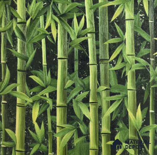 170-54 | 9.6 Meter x 20.87 Inches Nature Look Wallpaper - 54.77 Sq. Ft. | Minimum 15% wastage during installation