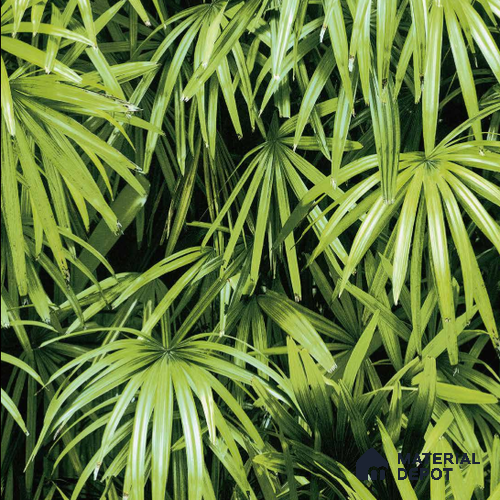 N-5001-1 | 10 Meter x 21 Inches Nature look Wallpaper - 57.41 Sq. Ft.