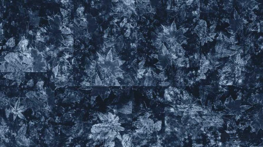 PHM009-2 | Modern Series Florals Look 40 inches Sandblast Paper (Customized Size Wallpaper)