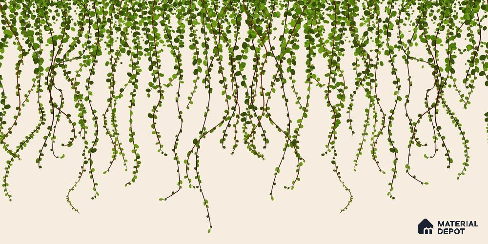 Green Foliage Wall Illustration Wallpaper of Climbing Leaves in Seamless Flow Wallpaper | Material Depot